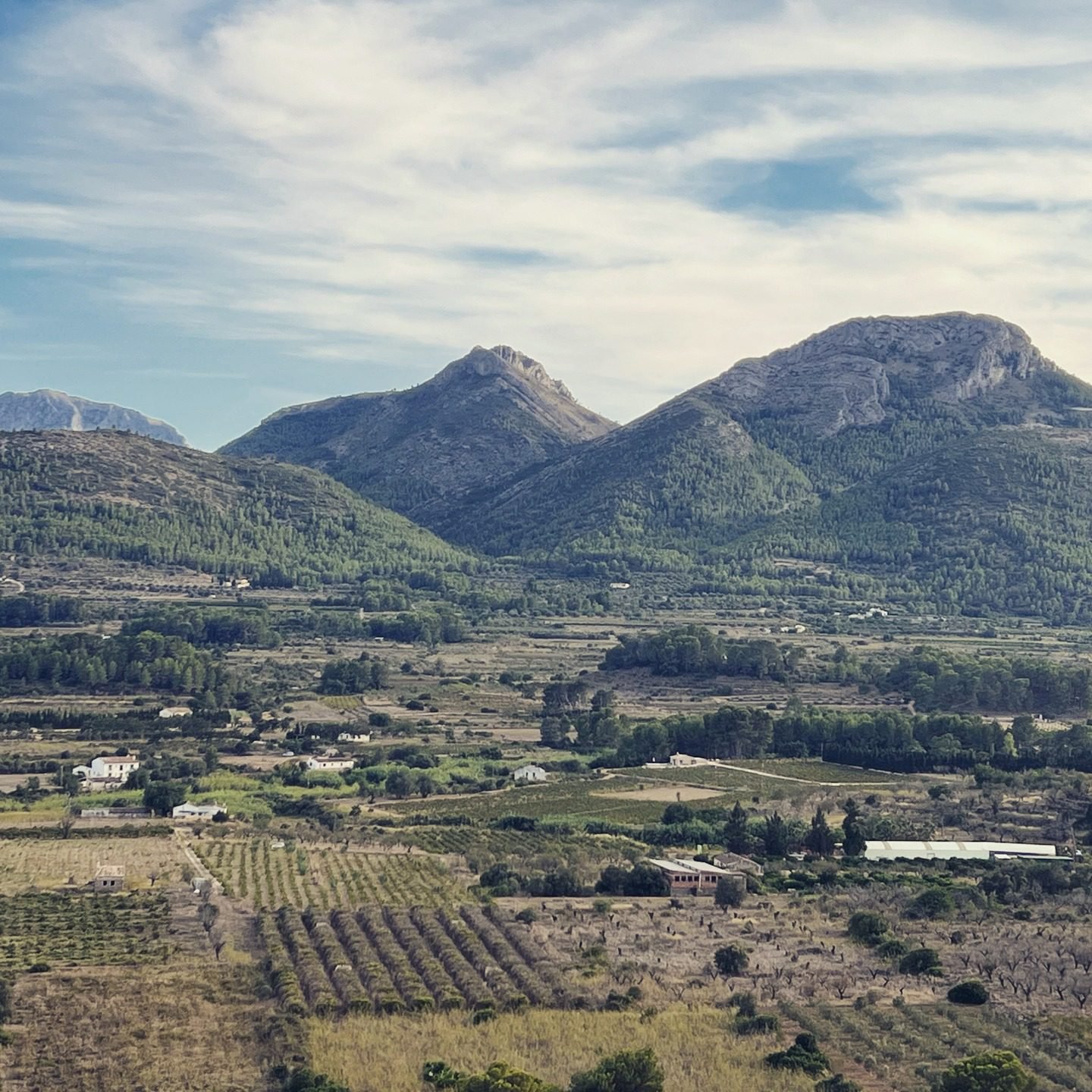This is our view on the Jalón Valley. The light, the hills, the silence.. it changes every day, but it always feels like home.
#CostaBlanca #CostaBlancaVibes #JalonValley #ValleDeJalon #VisitSpain #LoveSpain #SpainTravel #EspañaBonita #NatureLovers #MountainView #MediterraneanVibes #AlicanteIncreíble #ThisIsSpain #PuebloConEncanto #RinconesDeEspaña #MarinaAlta #CostaBlancaLife #SpainGram #WanderlustSpain #HiddenSpain #SpanishNature #HolidayInSpain
