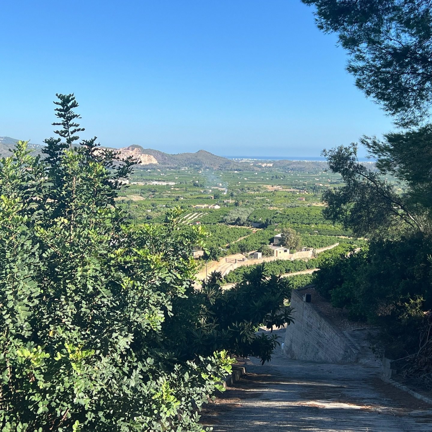 For me, it’s always the mountains..but catching that glimpse of the sea from up here is magical. #pego #valldegallinera #costablanca #costablancavibes #costablancalovers #costablancalife #costablancaliving #costablancaspain #alicante #alicantespain #visitcostablanca #costablancaviews #spaintravel #spainlove #spainvacations #mediterraneanlife #beautifulspain #lovespain #discovercostablanca #costablancasun #costablancadreams