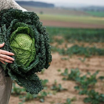 360 F 653463032 Wxuagwuwndzuiw87gmlvfs2owbj3ik9c