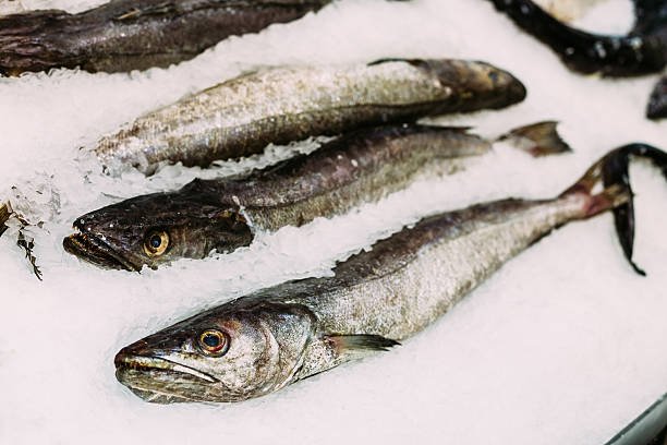 Merluza a la plancha